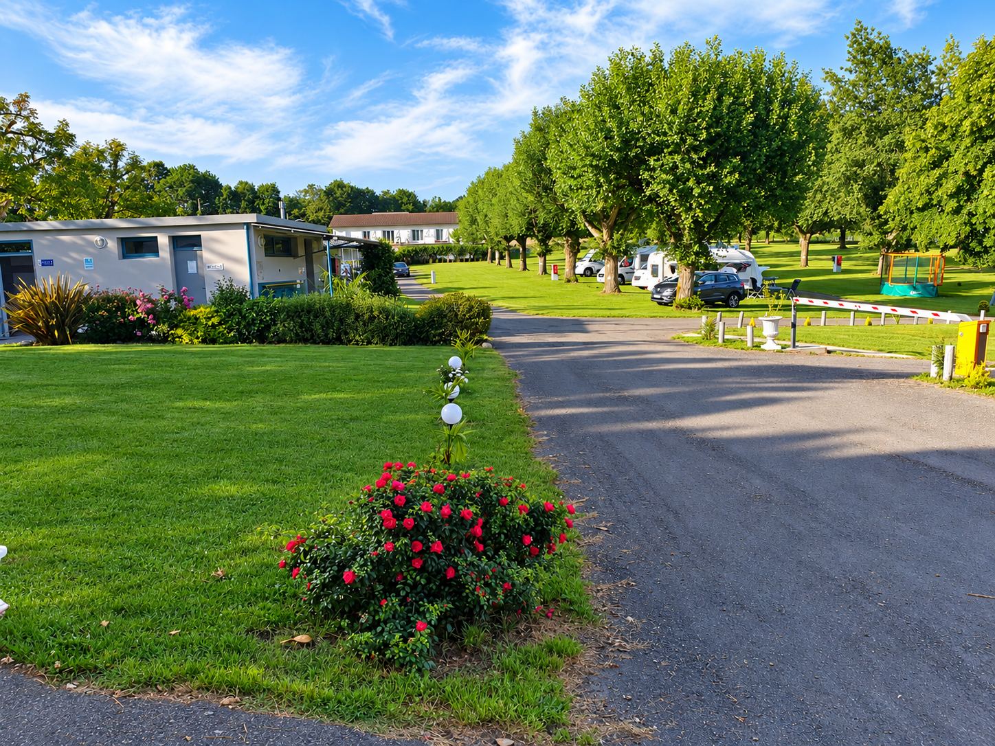 Allée goudronnée menant à un camping verdoyant avec une barrière levée, un massif de rosiers rouges, un bâtiment bas et des caravanes garées sous de grands arbres.