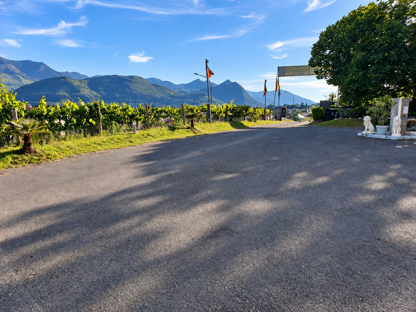 Une route goudronnée ombragée longe des vignes et mène à l'entrée du camping, ornée de drapeaux et de deux lions blancs, avec les montagnes en arrière-plan.